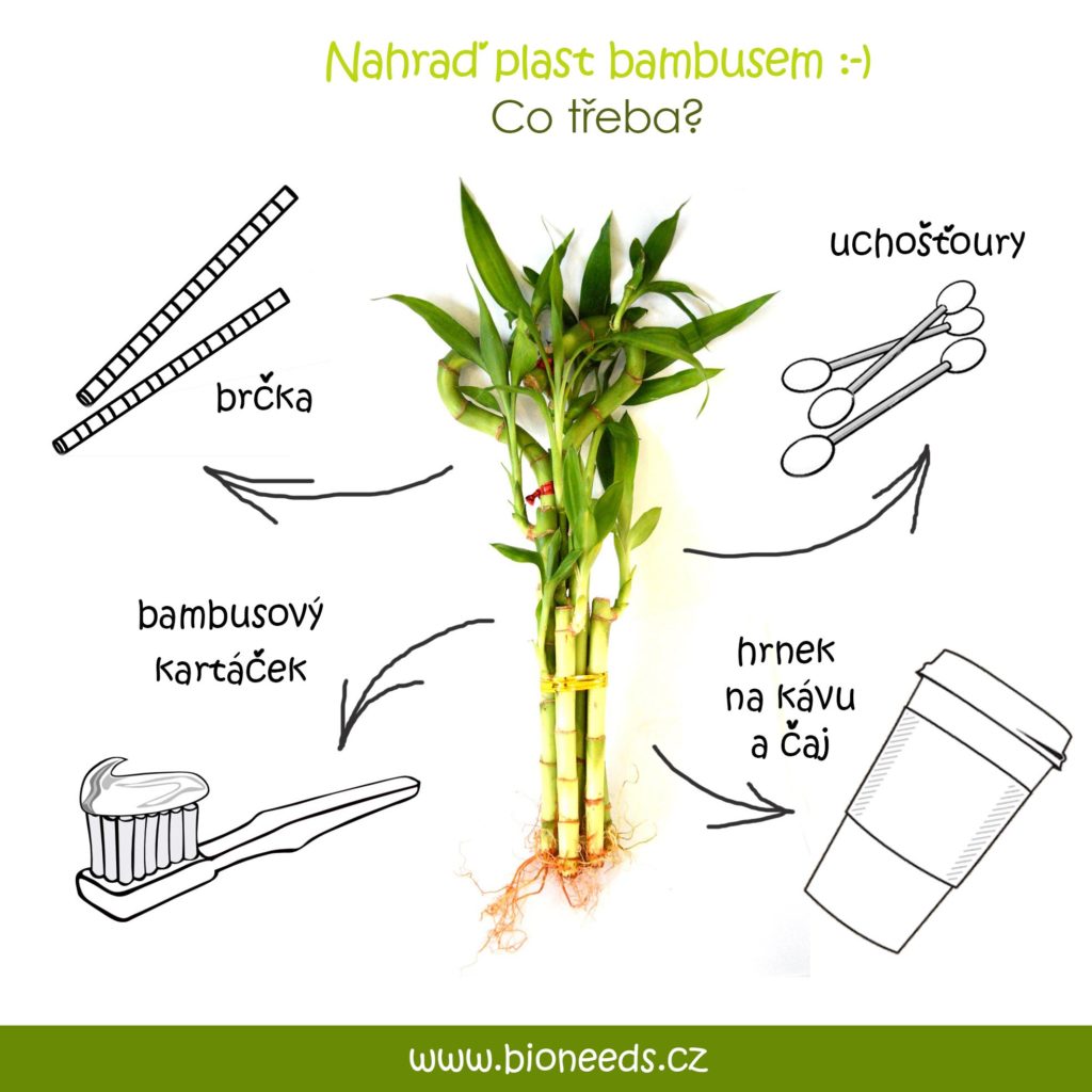 Bambus je náhrada za plast. Nahraď plast bambusem.
