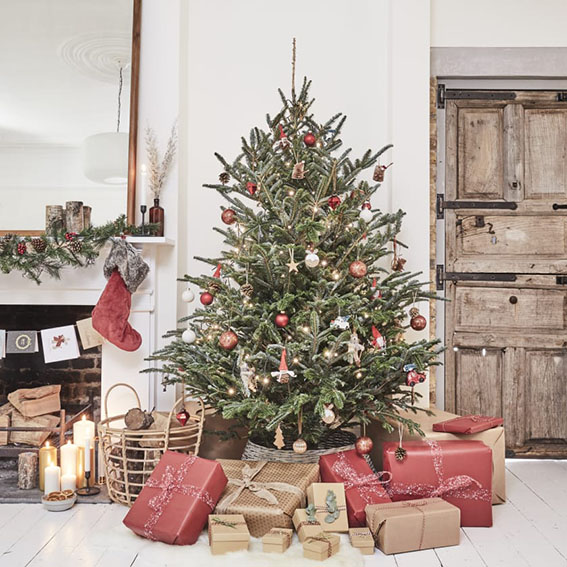 Ekologické Vánoce. Živý nebo umělý vánoční stromek?